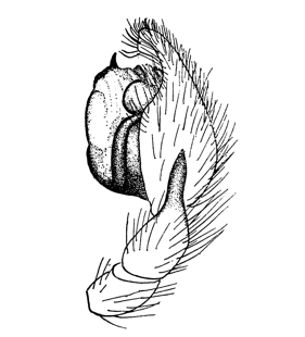 speciesimage