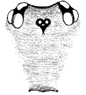 speciesimage