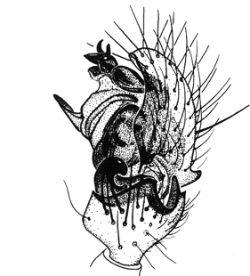 speciesimage
