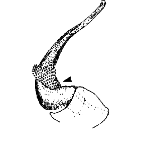 speciesimage