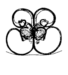 speciesimage