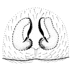 speciesimage