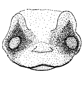speciesimage