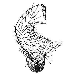 speciesimage