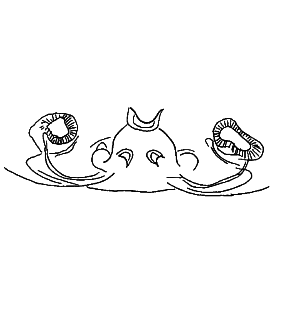 speciesimage