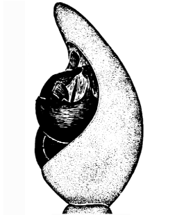 speciesimage