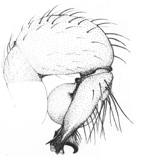 speciesimage