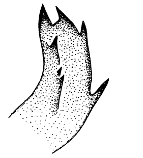 speciesimage