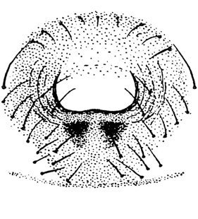 speciesimage