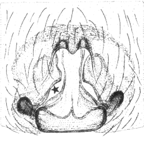 speciesimage