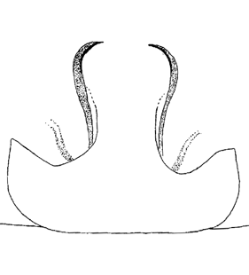 species