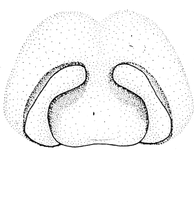 speciesimage