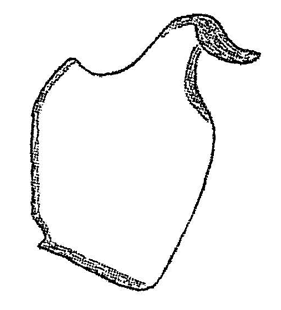 speciesimage