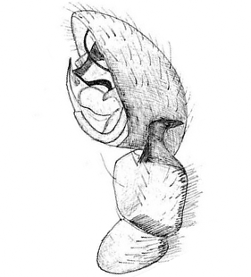 species
