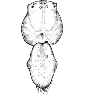 speciesimage
