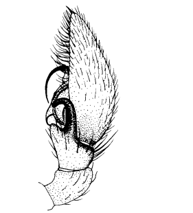 speciesimage