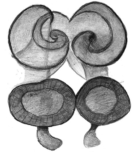 species