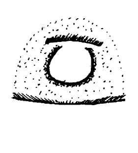 speciesimage