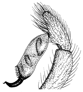 speciesimage