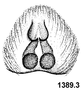 speciesimage