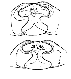speciesimage