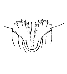 speciesimage