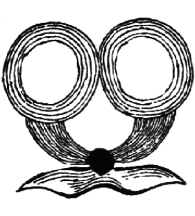 speciesimage