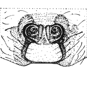 speciesimage