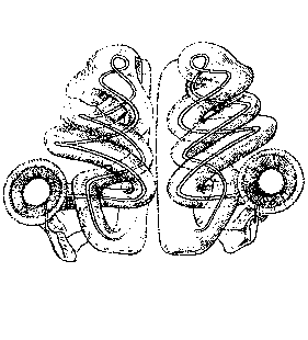 speciesimage