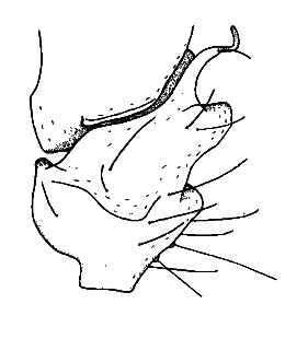 speciesimage