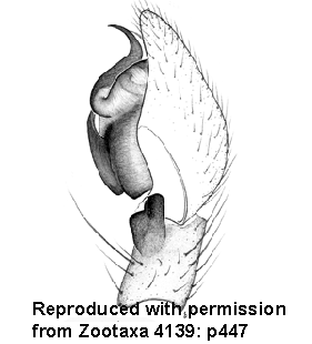 speciesimage