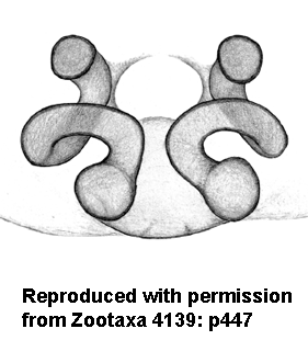 speciesimage