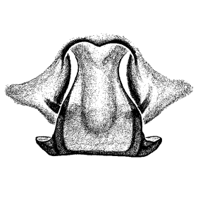 speciesimage
