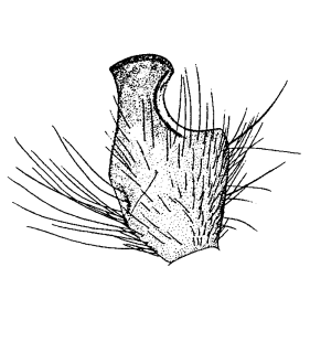 speciesimage