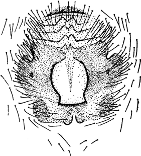 speciesimage