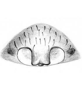 speciesimage