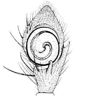 speciesimage