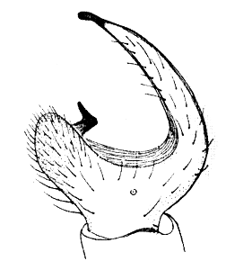 speciesimage