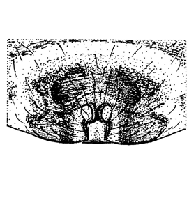 speciesimage