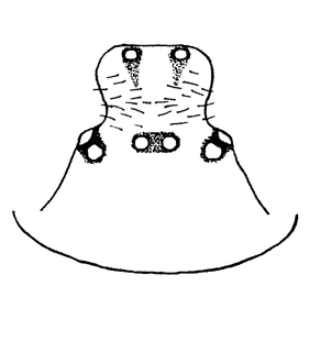 speciesimage