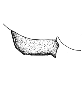speciesimage