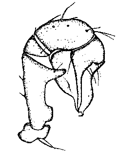 speciesimage