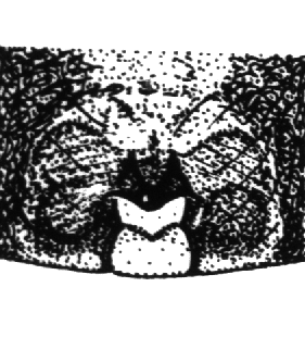 speciesimage