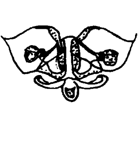speciesimage