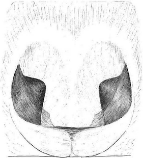 species