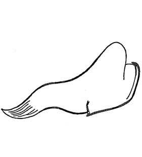 speciesimage