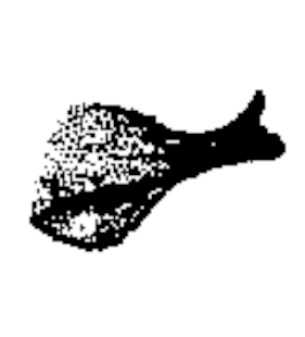 speciesimage