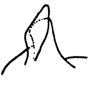 speciesimage