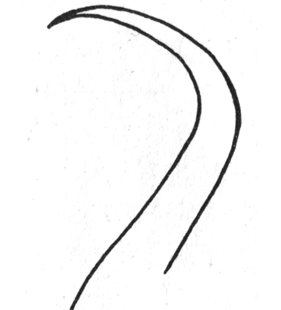 speciesimage