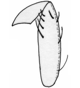 speciesimage
